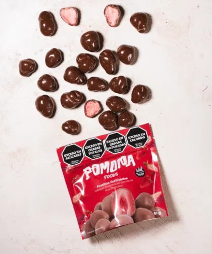 FRUTILLA LIOFILIZADA CON CHOCOLATE
