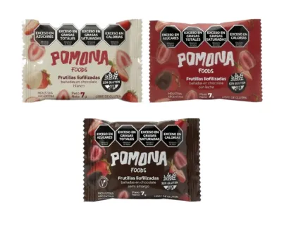 FRUTILLA LIOFILIZADA CON CHOCOLATE
