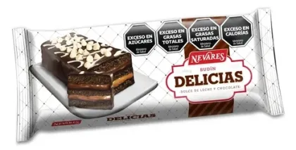 NEVARES BUDIN DELICIAS DULCE DE LECHE Y VAINILLA